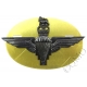 The Parachute Regiment Black Combat Cap Badge QC